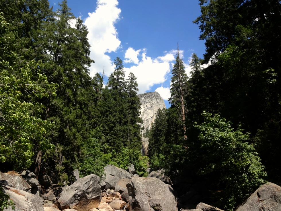 Yosemite Landscape