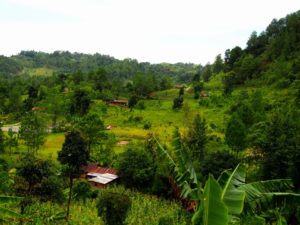 Countryside of the Alta Verapaz region of Guatemala