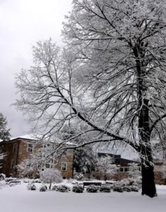 Goucher College in the winter