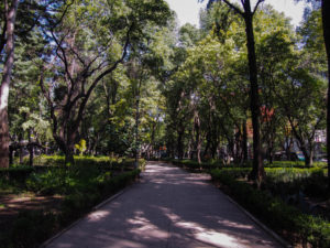 Mexico City Parque Mexico