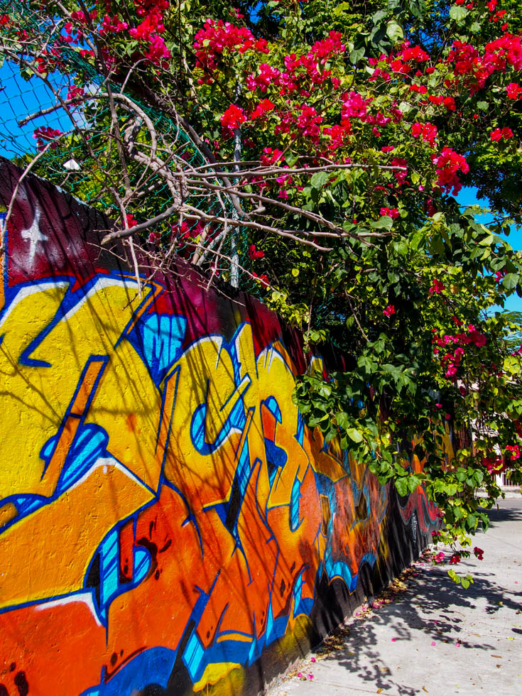 Cancun Centro Street Art