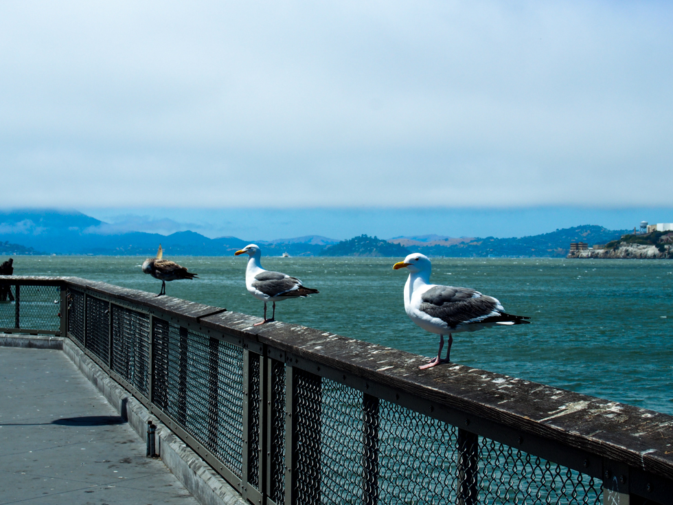 Fisherman's Wharf San Francisco