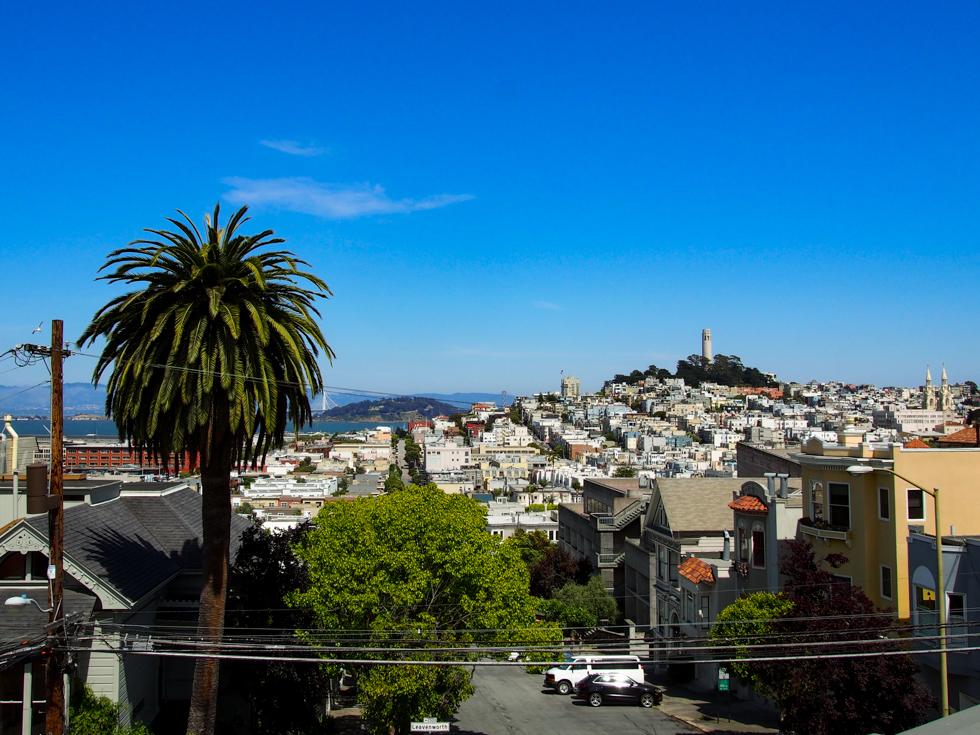 San Francisco Downtown View