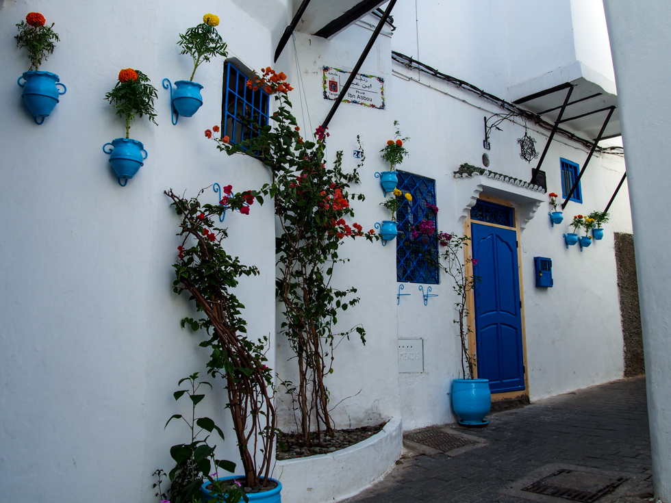 Tangier, Morocco Medina Flowers