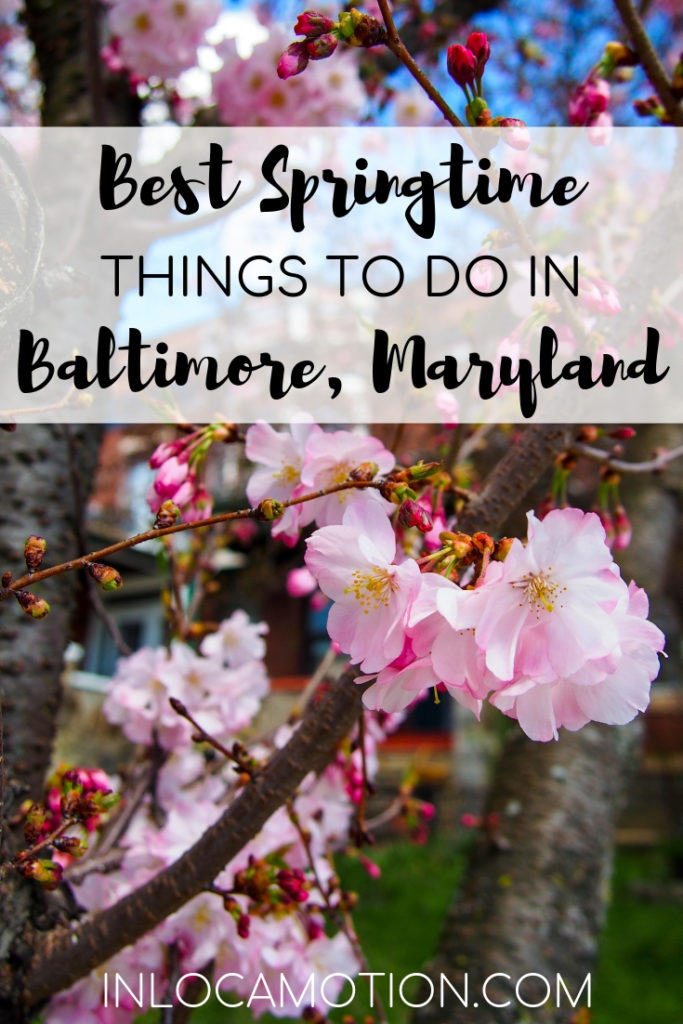 Springtime Things To Do In Baltimore, Maryland
