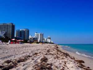 Miami Beach Skyline