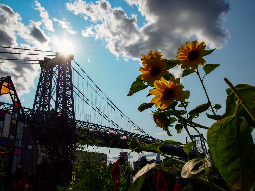 Williamsburg Bridge, Brooklyn