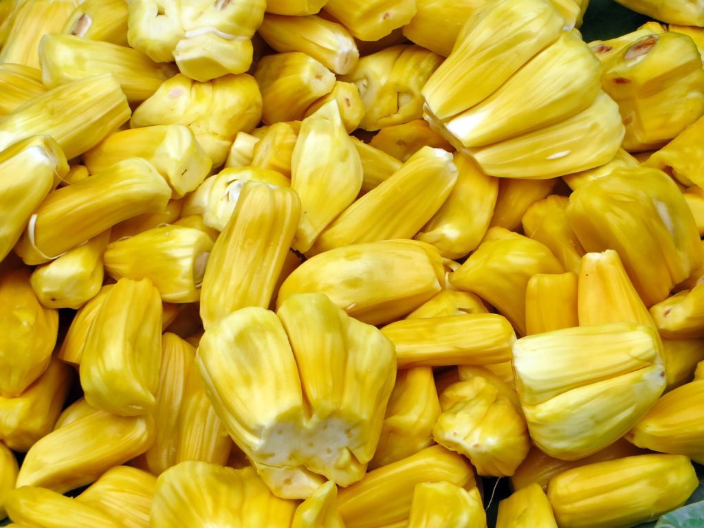 Jackfruit Interior