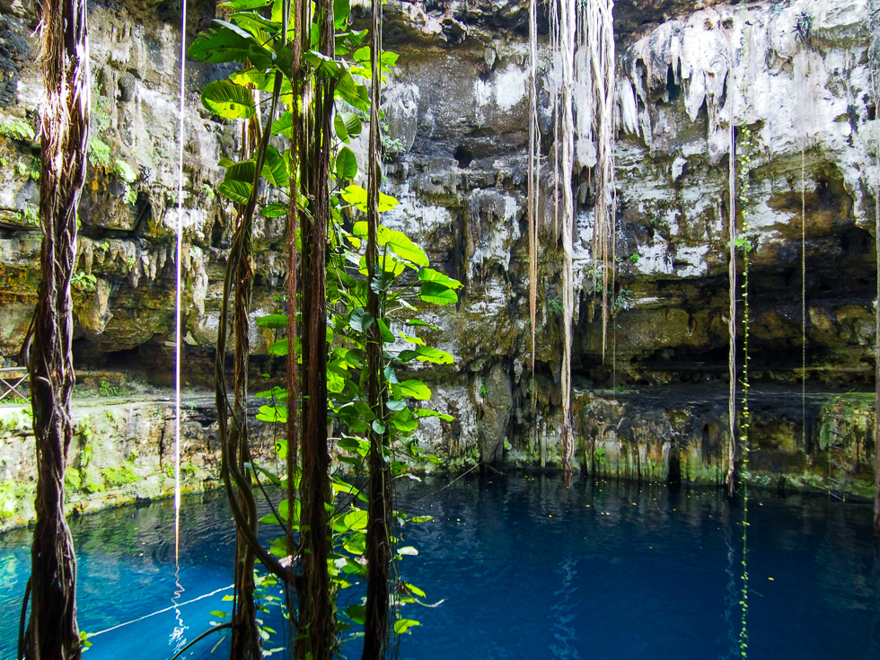 View of the water, walls, and vines of Cenote San Lorenzo Oxman outside of Valladolid, Mexico