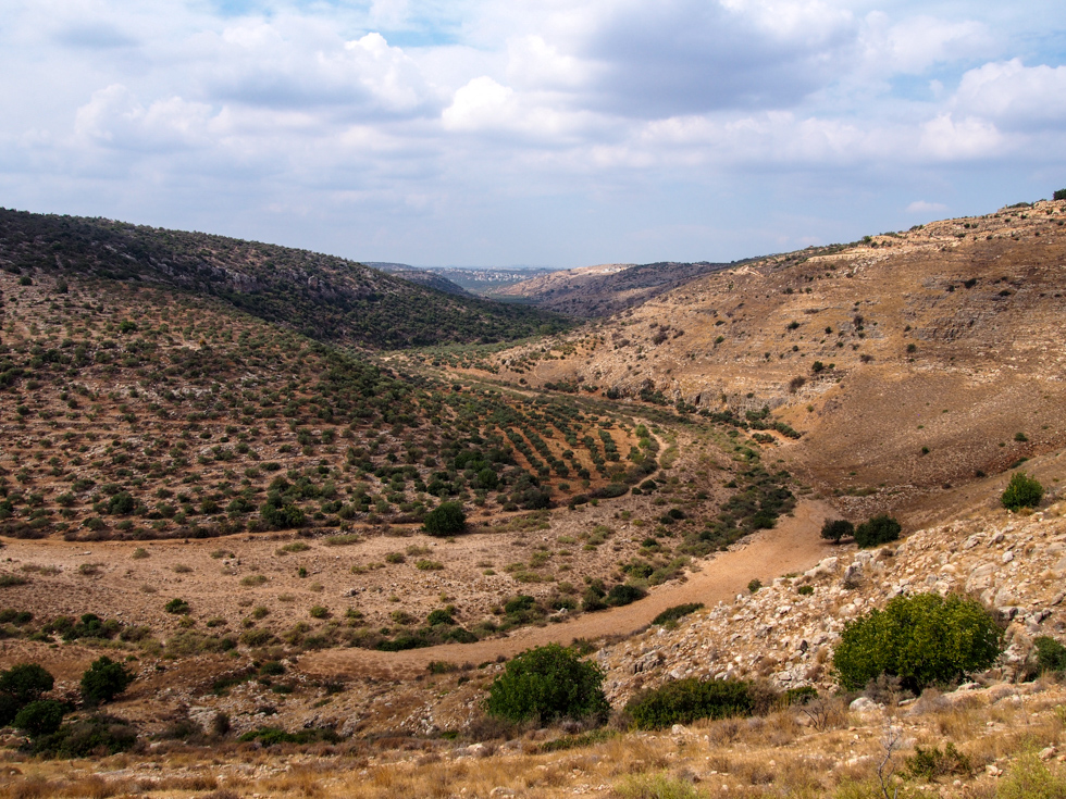 View of Wadi Qana, an arid ravine in the West Bank of Palestine, for a day of hiking