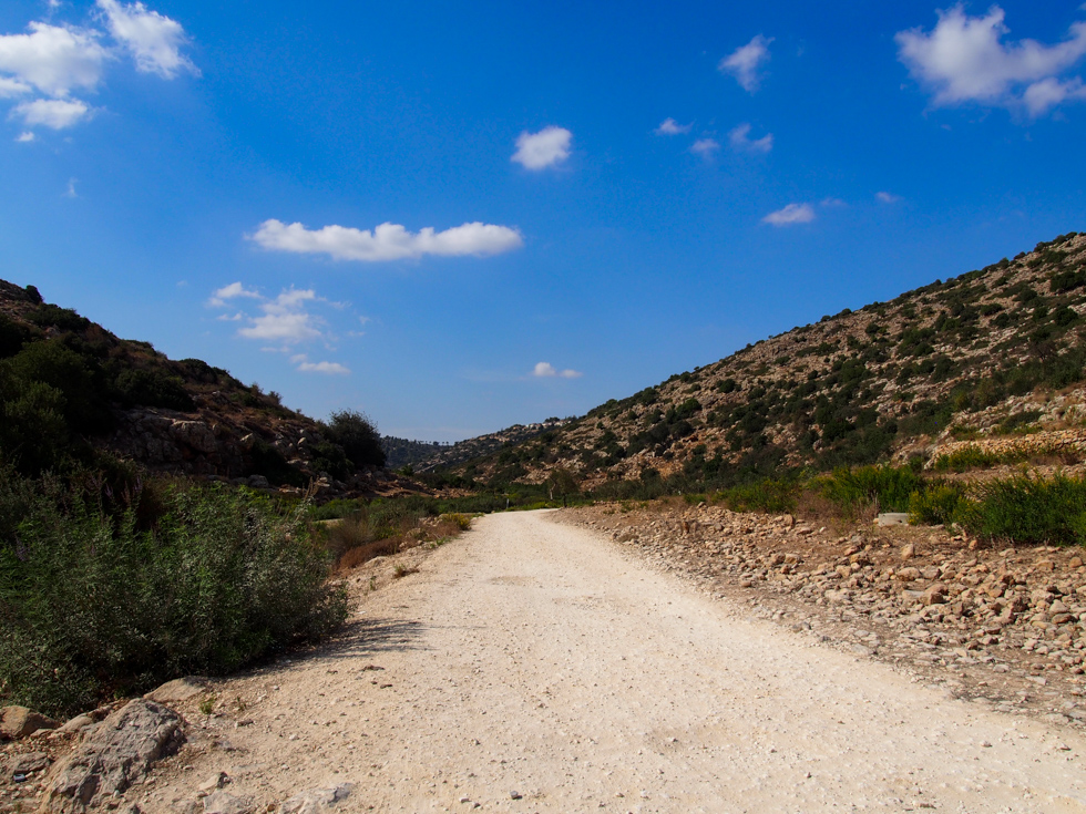 Blue sky above the trail during the hike through Palestine's Wadi Qana in the West Bank