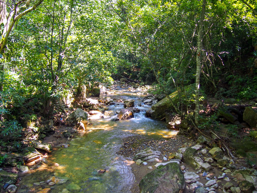 A river surrounded by rich green foliage near Copan Ruinas 
